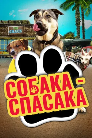 Собака-спасака (2016)