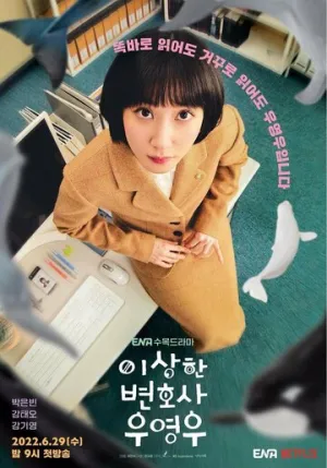 Необычный адвокат (сериал 2022)