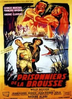 Альфонс Циттербакке (1966)