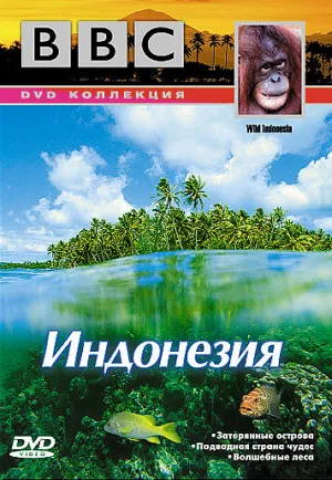 BBC: По странам и континентам. Индонезия (сериал 1999)