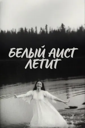 Белый аист летит (1978)
